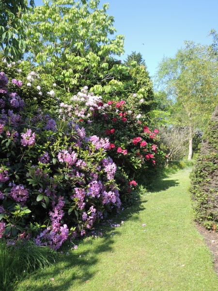 The Place for Plants, East Bergholt Place Garden